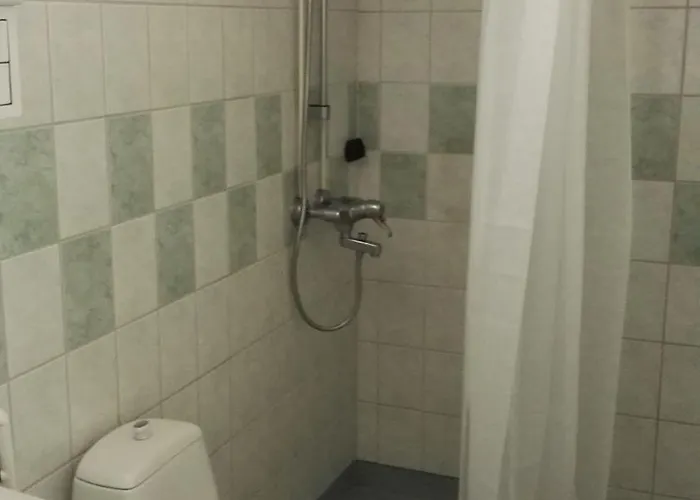 Saimaa Hirsilinna 酒店 2*